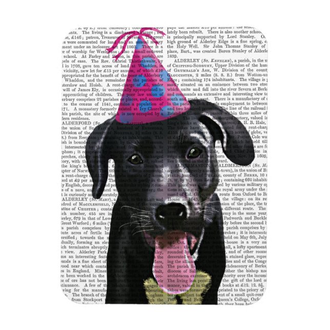Black Labrador With Party Hat Magnet (Vertical)