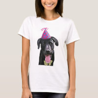 Black Labrador With Party Hat