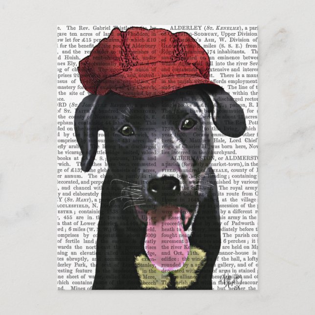 Black Labrador With Red Cap Postcard (Front)