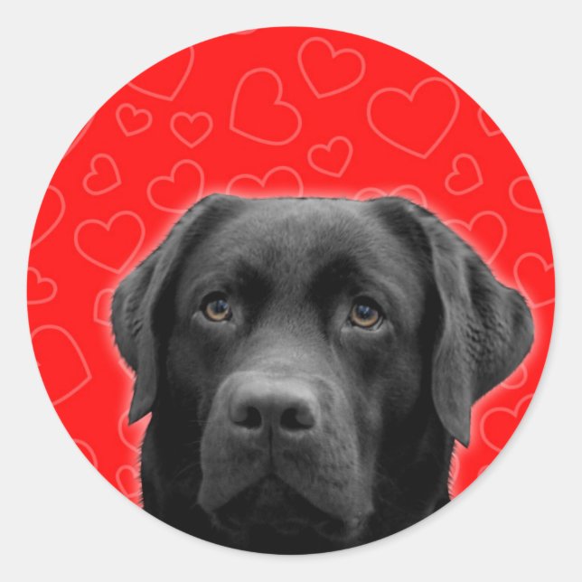 Black Labrador with Red Hearts Classic Round Sticker (Front)