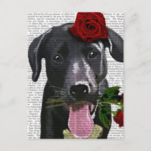 Black Labrador with Roses Postcard