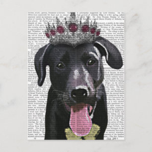 Black Labrador With Tiara Postcard
