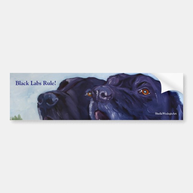 Black Labs Rule!, SheilaWedegisArt Bumper Sticker (Front)