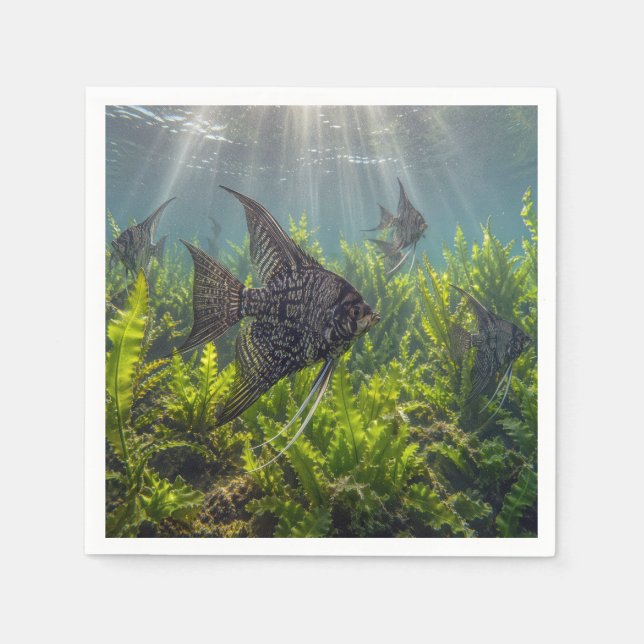 Black Lace Angelfish in Seaweed Napkin (Front)