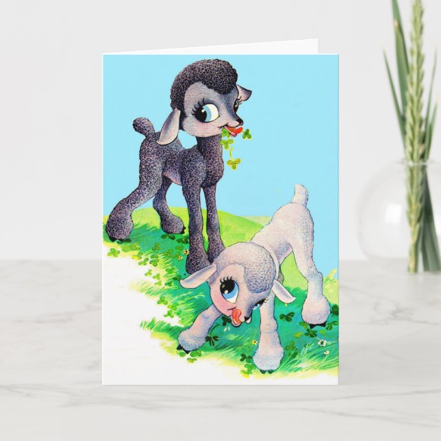 black lamb white lamb card (Front)