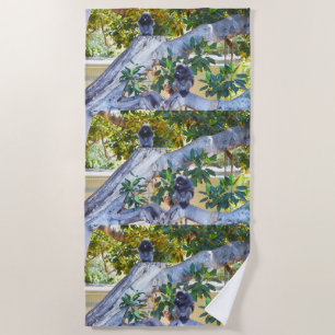 Black Langur Monkeys Eating, Beach Towel