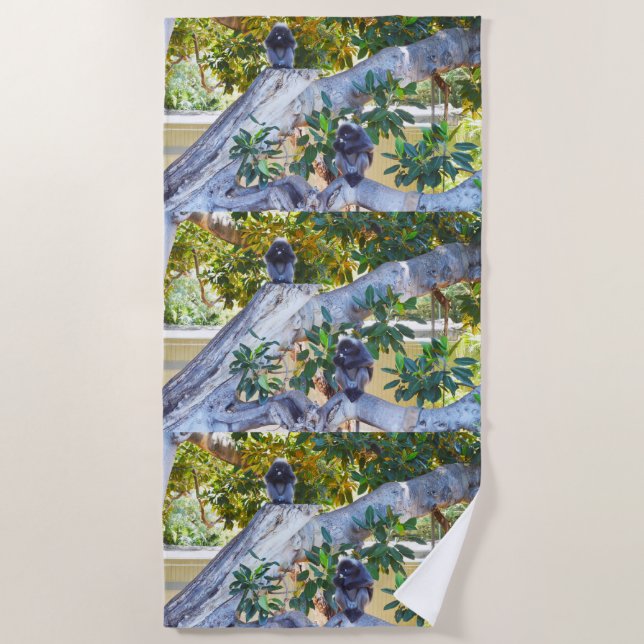 Black Langur Monkeys Eating, Beach Towel (Front)