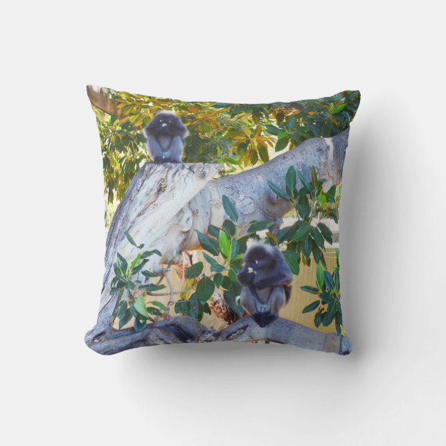 Black Langur Monkeys Eating, Cushion (Front)