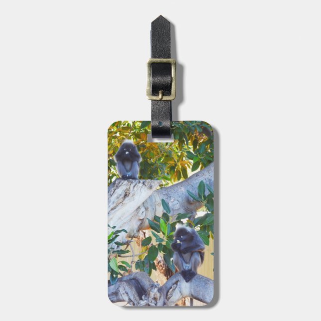 Black Langur Monkeys Eating, Luggage Tag (Front Vertical)
