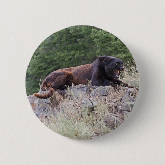 Black Leopard Button