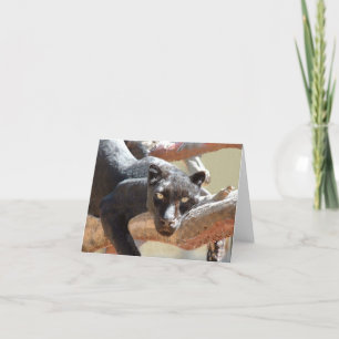 Black Leopard Card
