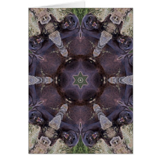 Black Leopard Kaleidoscope Card