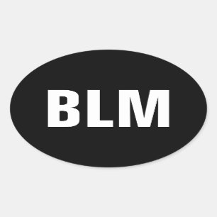 Black Lives Matter Oval Sticker