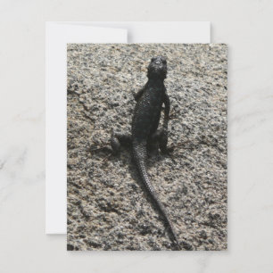 Black Lizard