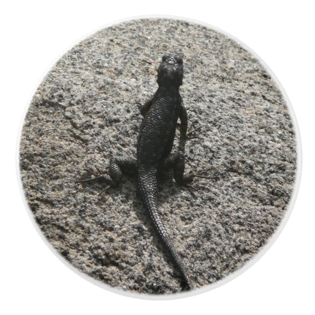 Black Lizard Ceramic Knob (Front)