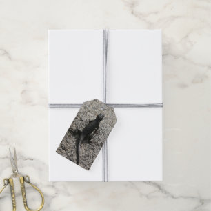 Black Lizard Gift Tags