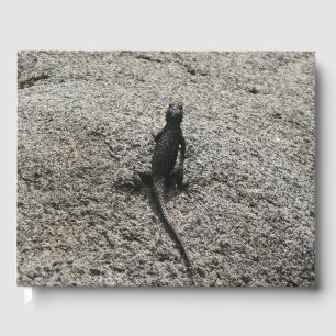 Black Lizard Guest Book