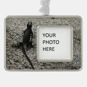 Black Lizard Silver Plated Framed Ornament