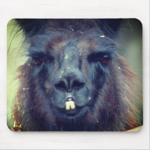 Black Llama Face Animal Mouse Mat