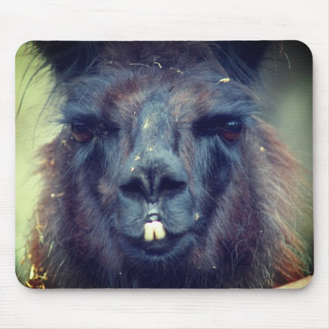 Black Llama Face Animal  Mouse Mat (Front)