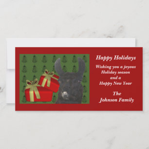 Black Llama Farm Animal Christmas Holiday Card