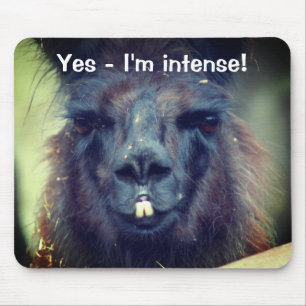 Black Llama I'm Intense Funny Animal Mouse Mat
