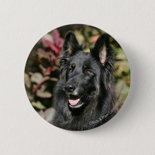 Black Long Haired German Shepherd 6 Cm Round Badge