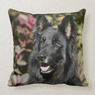 Black Long Haired German Shepherd Cushion