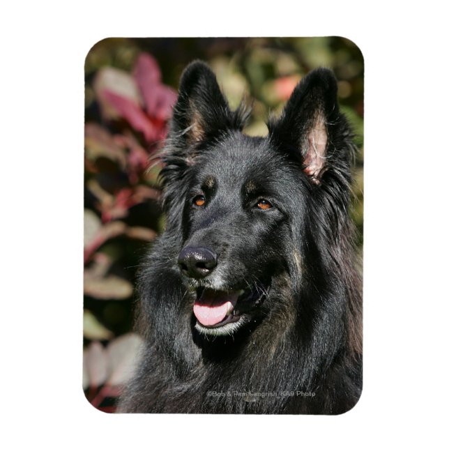 Black Long Haired German Shepherd Magnet (Vertical)
