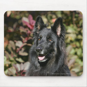 Black Long Haired German Shepherd Mouse Mat