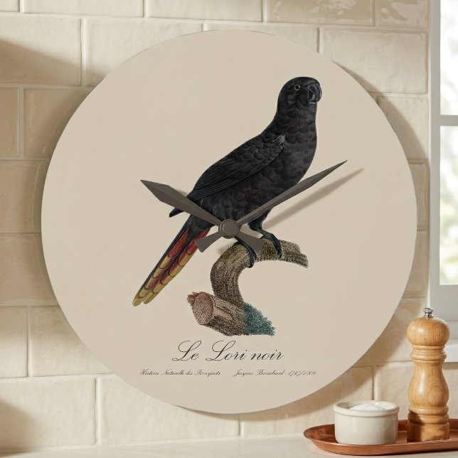 Black Lory or Red-Quilled Lory, Chalcopsitta atra Large Clock (Black Lory or Red-Quilled Lory, Chalcopsitta atra. Large Clock)