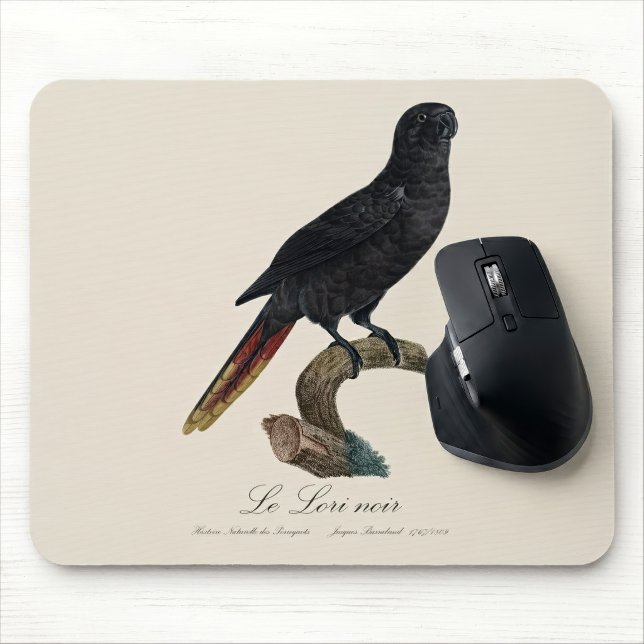 Black Lory or Red-Quilled Lory, Chalcopsitta atra Mouse Mat (Black Lory or Red-Quilled Lory, Chalcopsitta atra. Mouse Pad)