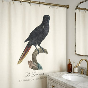 Black Lory or Red-Quilled Lory, Chalcopsitta atra Shower Curtain