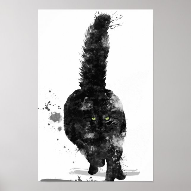 BLACK MAINE COON CAT - POSTER (Front)