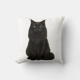 Black Maine Coon Pillow