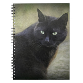 Black male cat with green eyes notebook