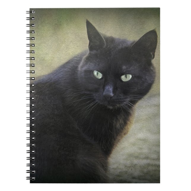 Black male cat with green eyes notebook (Front)
