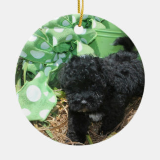 Black Maltipoo Puppy Ceramic Tree Decoration