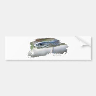 Black Mamba Bumper Sticker
