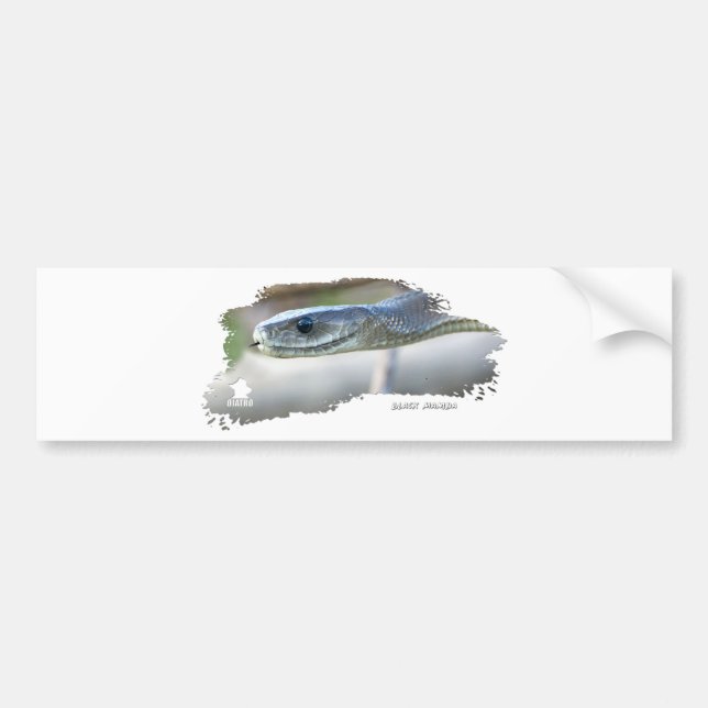 Black Mamba Bumper Sticker (Front)