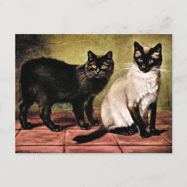 Black Mank and Royal Siamese Cat Postcard (Front)