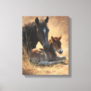 Black Mare with Foal Rustic Painting Canvas Print