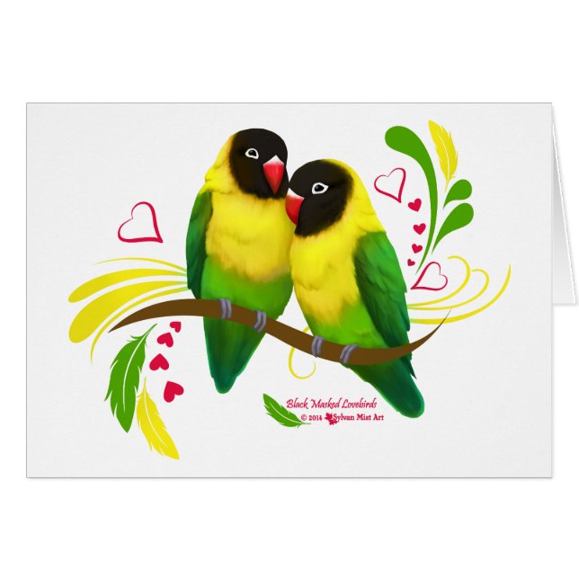 Black Masked Lovebirds (Front Horizontal)