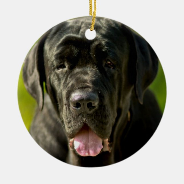 Black Mastiff Ornament (Front)