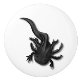 Black Melanoid Axolotl Art Ceramic Knob