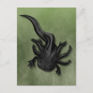Black Melanoid Axolotl Art Postcard
