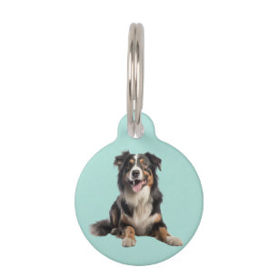 Black Merle Australian Shepherd   Pet Tag