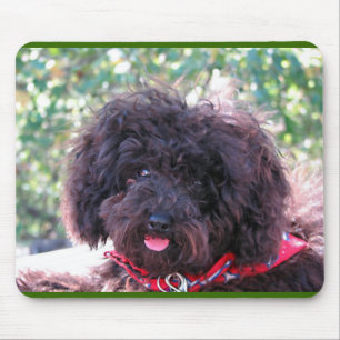 Black Miniature Poodle - JoJo Mouse Mat