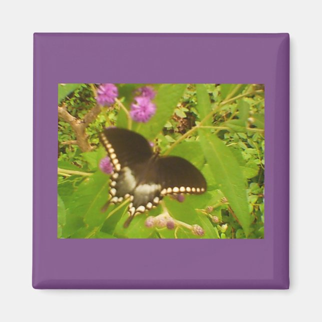 Black Monarch Magnet (Front)