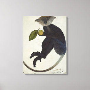 Black Monkey Canvas Print